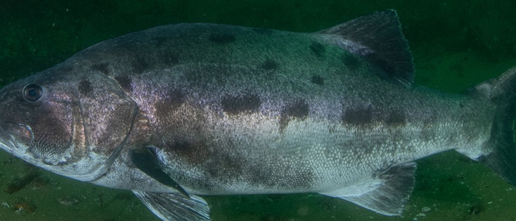 524abb5d-6ccc-42ce-a7c5-3d5b5a6afbb2