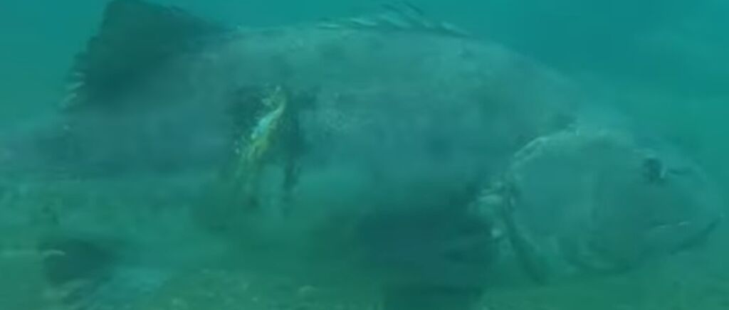 523ed427-6aee-4a06-9614-11ad87f2c144