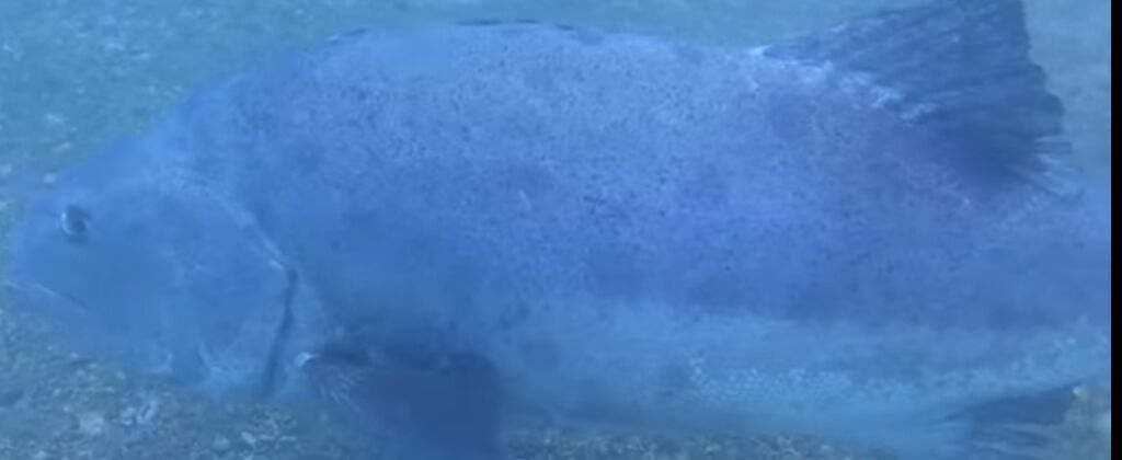 523ed427-6aee-4a06-9614-11ad87f2c144