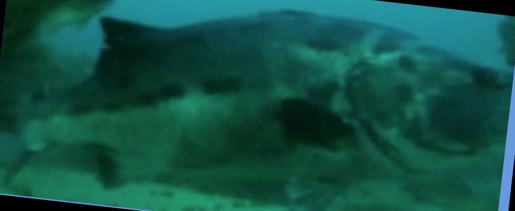 1b410f89-7941-4e0f-a761-ece07b7da9d8