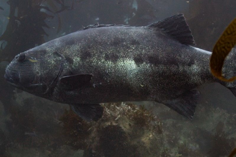 31bd8dbe-6a0b-44ed-8bef-80b298639f9d