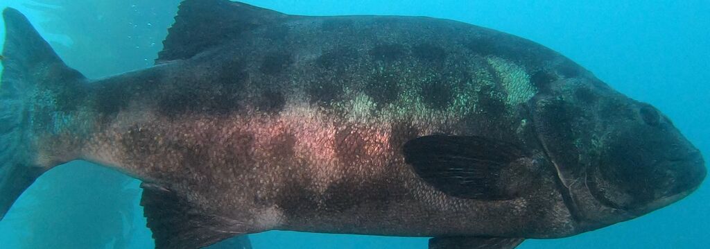 9a9eb27e-3999-4a35-833b-a7a8ec8163b2