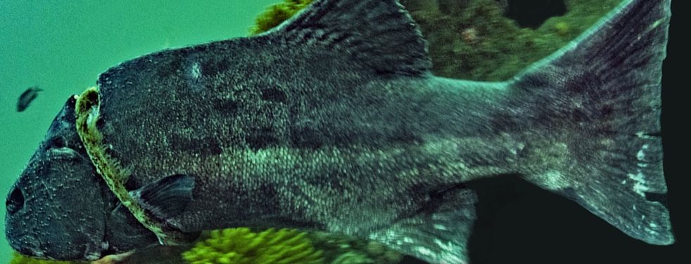 22d6b847-af8d-4d8c-9890-10044a5cbbe7