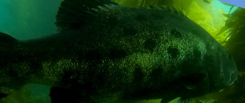 511c3f14-5fc7-4efa-a4a8-efe7ffcf4dcb