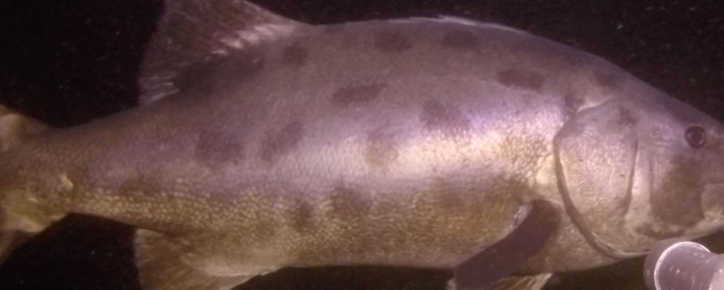 be2a89e5-38f0-41ae-a972-282b0249d36d