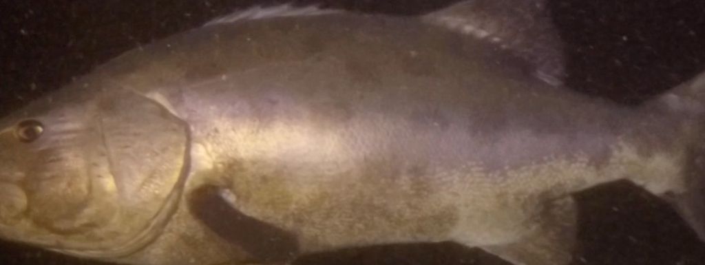 be2a89e5-38f0-41ae-a972-282b0249d36d