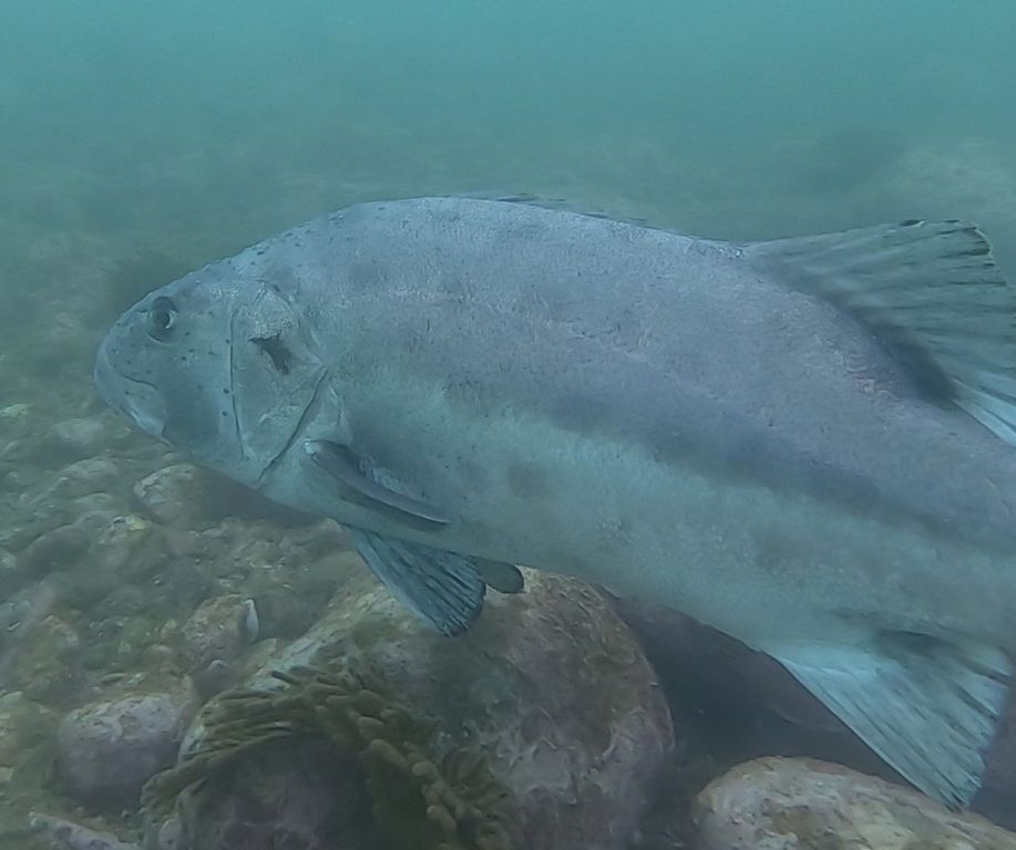 6a46a9bf-90c3-4da7-8846-ae353627b2f5