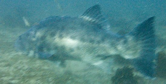 cd3602ed-0bf9-4443-9470-8e3873b729ce