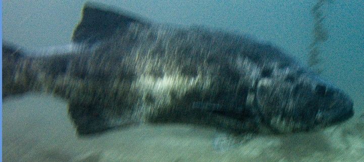 cd3602ed-0bf9-4443-9470-8e3873b729ce