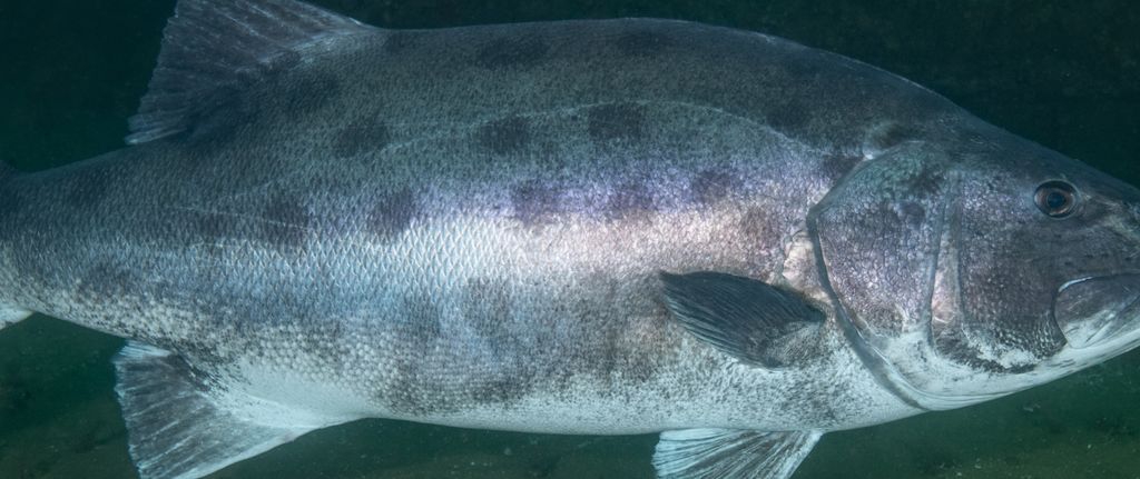 881f7635-860e-453f-b447-6b4f68e98f50