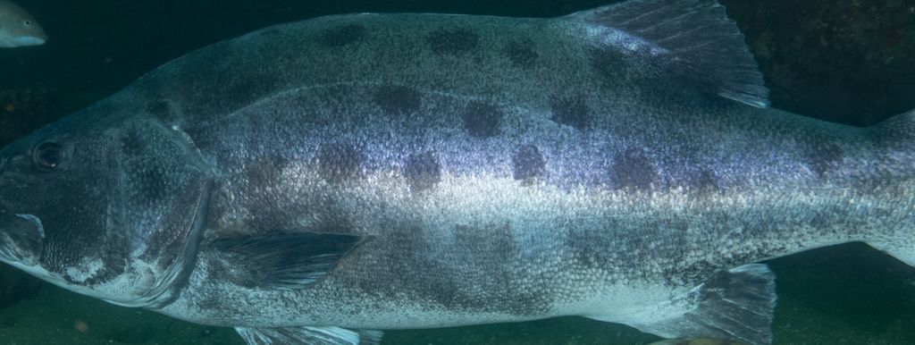 881f7635-860e-453f-b447-6b4f68e98f50