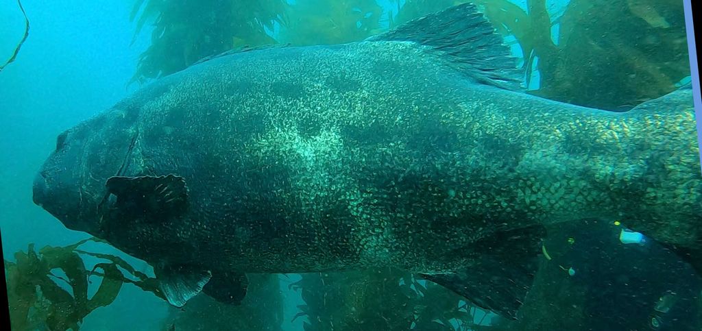 5a07dac3-2d0f-4f6f-855b-758e3f667608