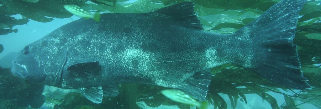 2bb369ed-a118-4387-8524-fec0e974fce5