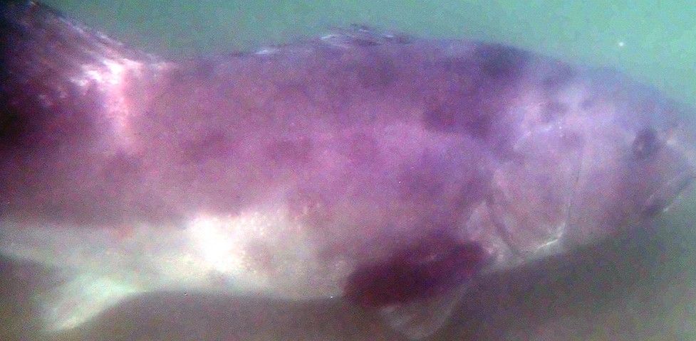 331a2e6f-3a98-4e26-9af5-234c1b4fbee4