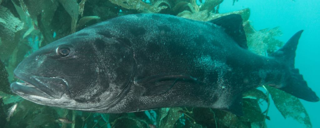 e32e05ba-4bde-4364-83fb-807c5242cf09