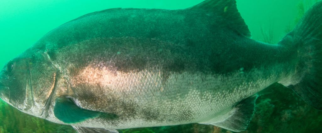 524abb5d-6ccc-42ce-a7c5-3d5b5a6afbb2