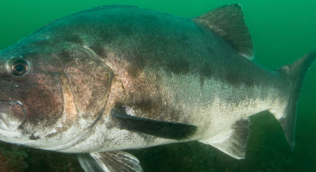 524abb5d-6ccc-42ce-a7c5-3d5b5a6afbb2