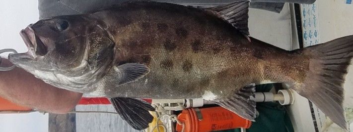 f4007643-ed99-42e2-8ee8-c161b390e142