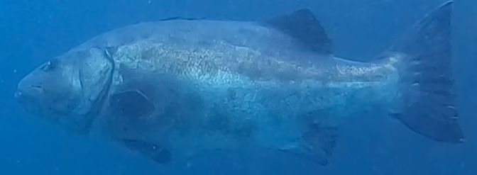 3708d16e-9db9-496e-9a35-f8e53917e90b