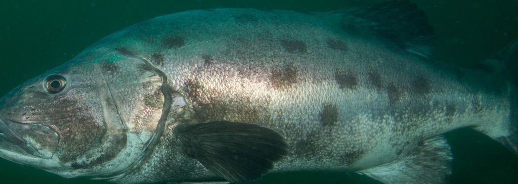 8673ee3d-b249-4875-9be7-95252e5eb5bd