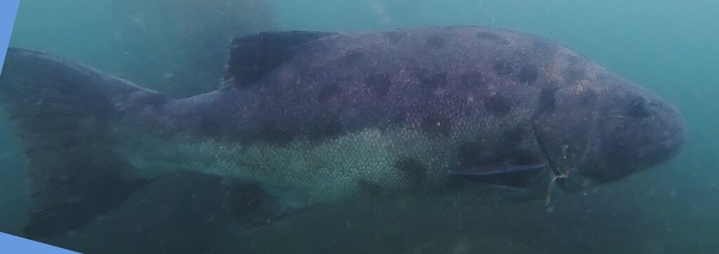 ad2167df-6563-41f5-adb2-1d04c0891509