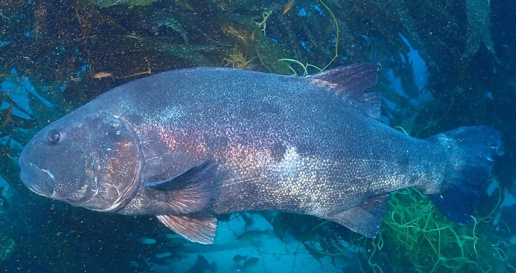 7a5bd8b2-8907-4ebd-866a-940b81dffaad