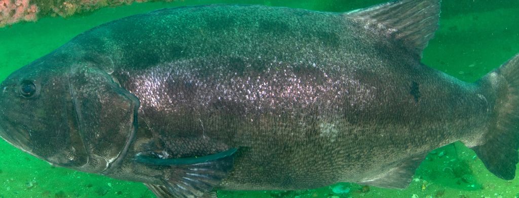 e3b2d5b6-ab7c-45bf-aac7-19868b175585