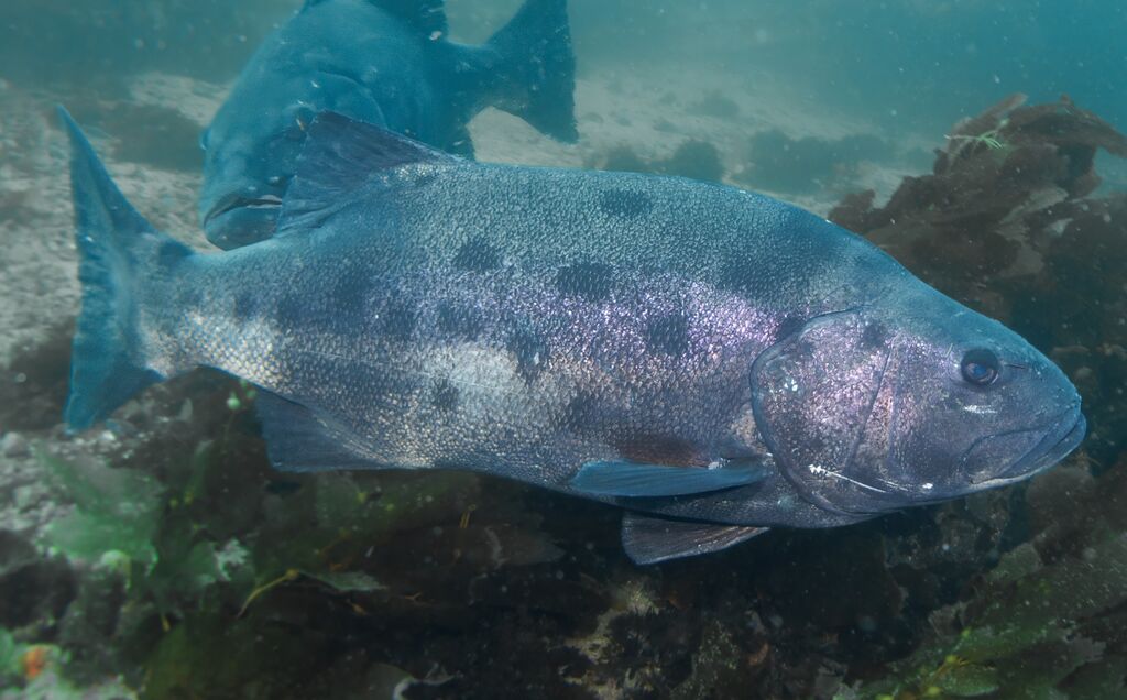 decdd11c-ff22-46a1-99a6-26eb93b3ffcd