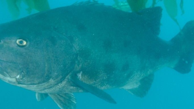 fe206e62-2091-49b1-a123-20cf8b3205e0