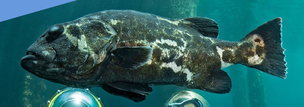 2b61c0fd-dfd2-4ead-97df-337d71d8d7d1