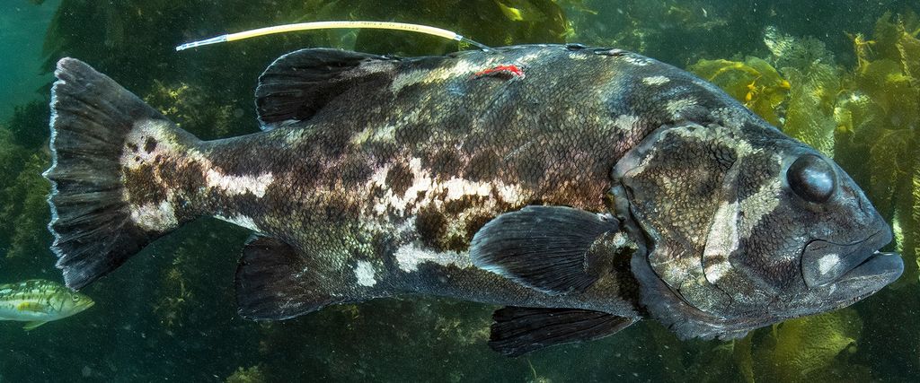 2b61c0fd-dfd2-4ead-97df-337d71d8d7d1