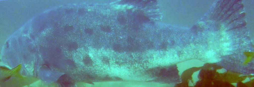 bbb9137f-efb3-4501-935c-8b699524b574