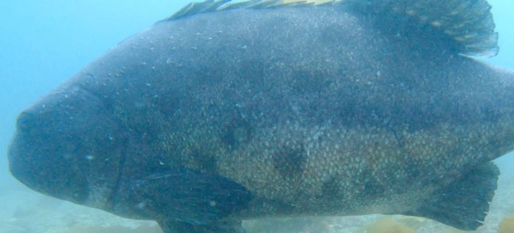 fbbf0750-4f91-497b-a6d4-955ddef31fa1