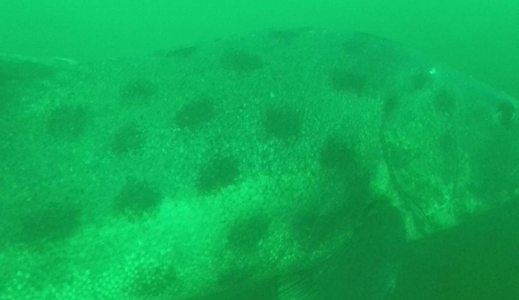 57bd765d-9403-4dd1-a23d-60a1d8b4f739