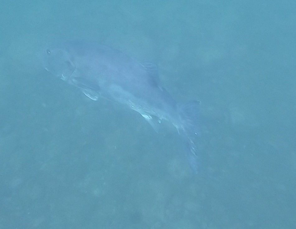 406c5f7a-8d1b-434b-a5a7-402b2516a008