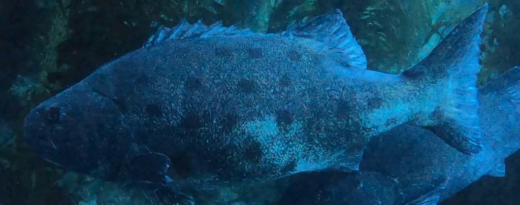 9ce2862f-58e6-4367-9809-73723278bf52