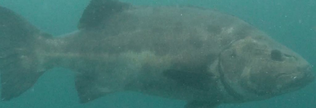 3708d16e-9db9-496e-9a35-f8e53917e90b