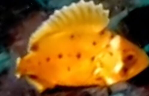 9c757ad5-49bf-4b6d-abdd-ebdc372a2856