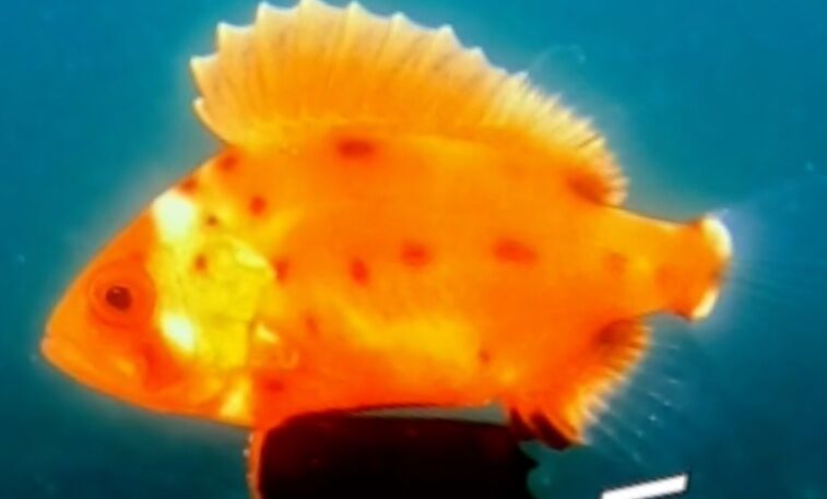 9c757ad5-49bf-4b6d-abdd-ebdc372a2856