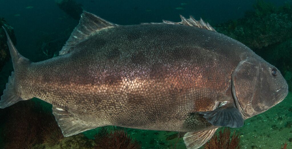 a7ebe02e-c3df-4512-b7f0-9b0e8354810f