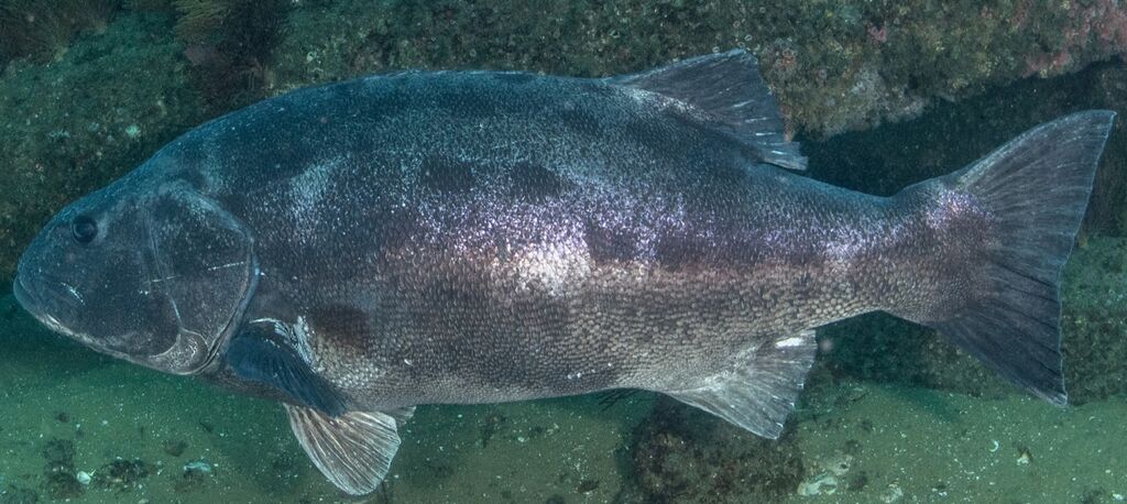 a7ebe02e-c3df-4512-b7f0-9b0e8354810f