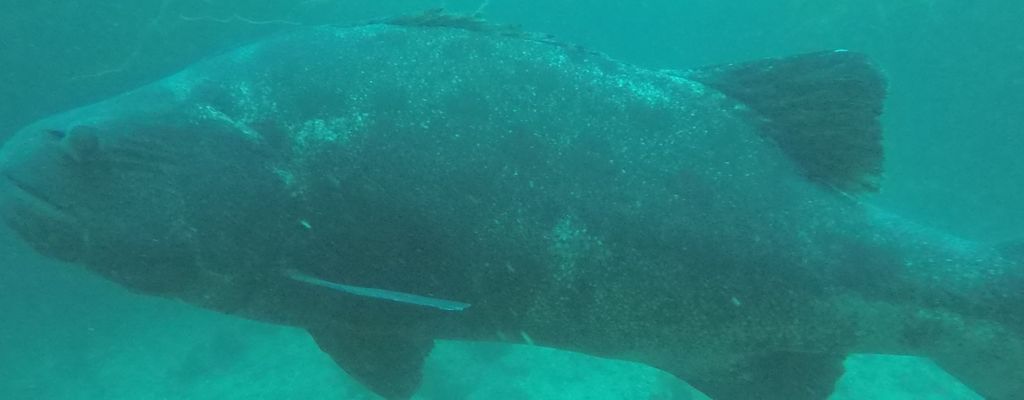 72988d15-3b04-4c64-b47d-77e05c0d1fa1