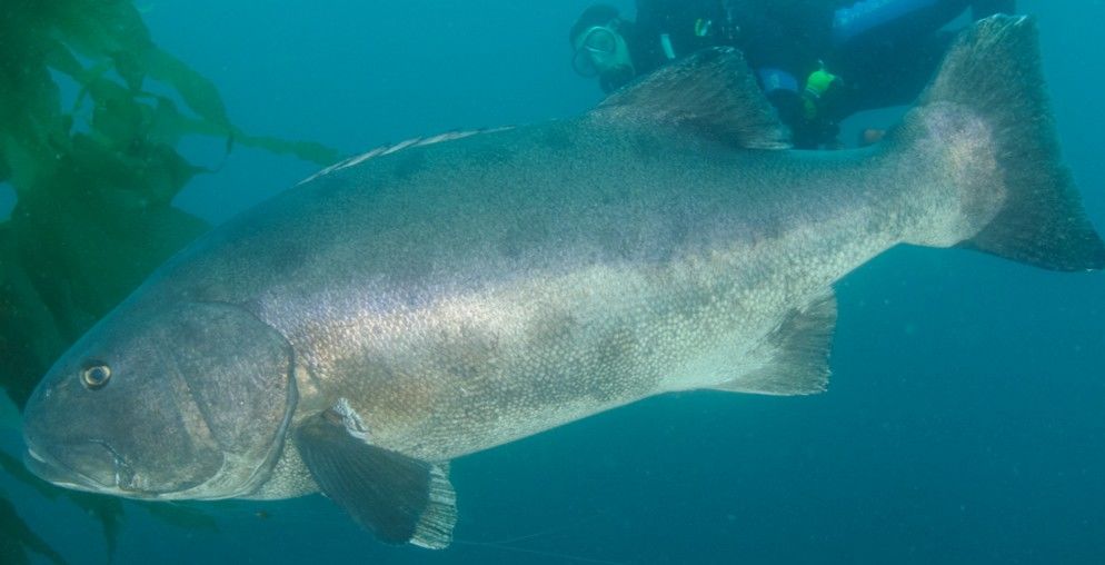 fe206e62-2091-49b1-a123-20cf8b3205e0