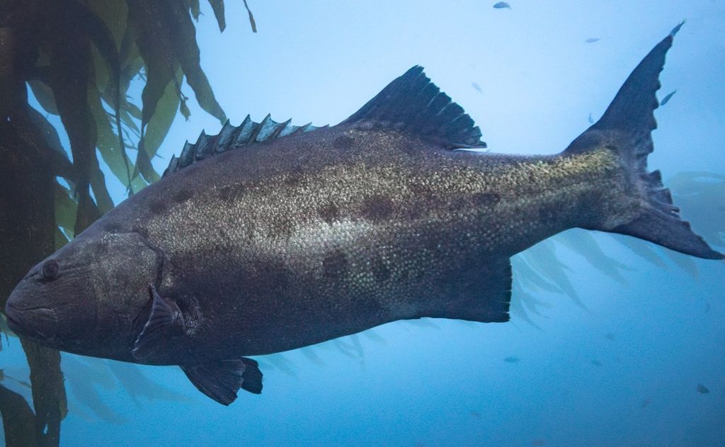 d17534b3-042e-4b11-a15a-50ca220d67ca