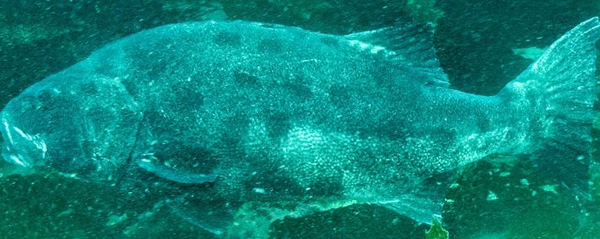 c2bd1a4f-7821-4f06-8a8e-50227fe536f3