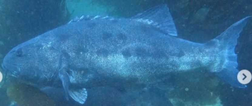 31bd8dbe-6a0b-44ed-8bef-80b298639f9d