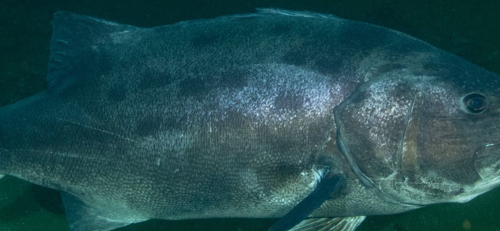 e3b2d5b6-ab7c-45bf-aac7-19868b175585