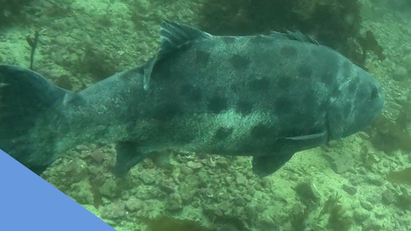 2c87afd6-cb88-45e8-a5a9-bae2b2e0ca4a