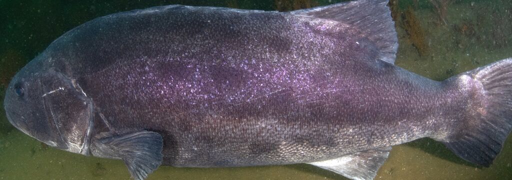 226506ed-8d73-4d8c-b988-a83c2794f0fc