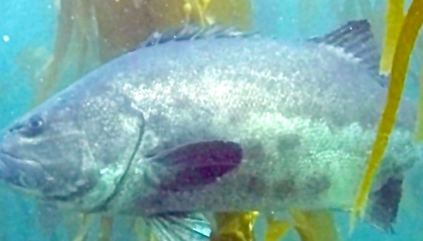 9cc3873f-2738-4de2-8d26-8a4f74eca60e